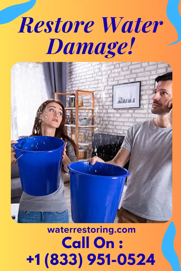 water restoration Ultimate Water Damage & Sons Edgewater