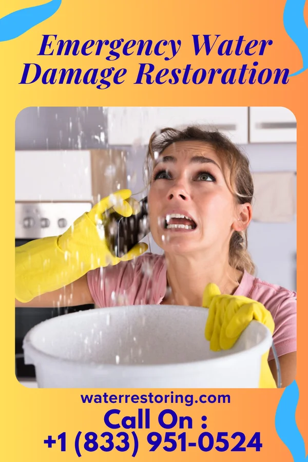 Emergency Water Damage Restoration in Edgewater, NJ