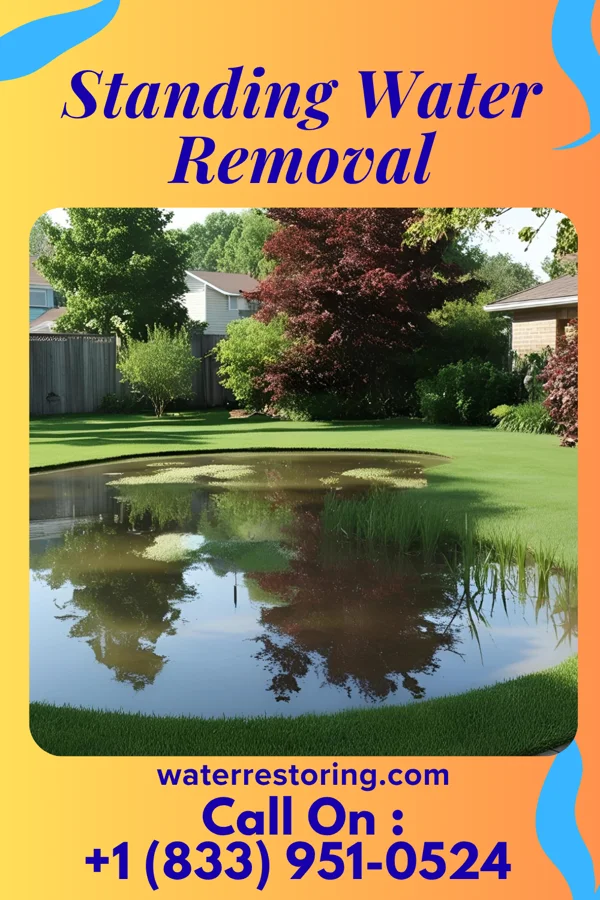 Standing Water Removal in Edgewater, NJ